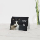 Recherche de le petit chat blanc vœux cartes Noir