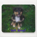 Recherche de adopté électronique Chiot