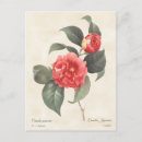 Recherche de japonica posters Redoute