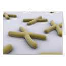 Recherche de chromosome cartes postales Illustrations biomédicales