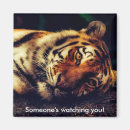 Recherche de tiger magnets Mignon