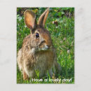 Recherche de lapins cartes postales Vert