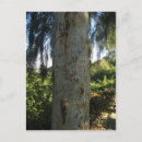 Recherche de graffitti cartes postales Drôle