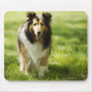 Recherche de shetland tapis souris Vacances