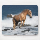 Recherche de palomino tapis souris Équestre