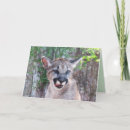 Recherche de animal puma cartes invitations Cougar