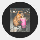 Recherche de danke autocollants Drôle