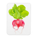 Recherche de radiateur magnets Légumes