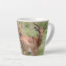 Recherche de delta tasses Okavango