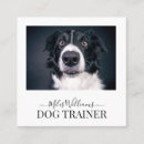 Recherche de entraîneur de chien cartes visite Soin des animaux