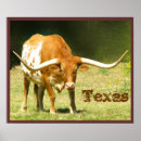 Recherche de longhorn du texas posters Ouest