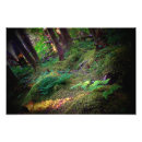 Recherche de éden posters Nature