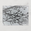 Recherche de hivernale cartes postales Arbre