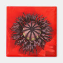 Recherche de velours magnets Rouge