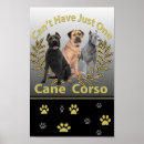 Recherche de cane corso art Chiens