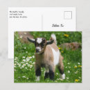 Recherche de enfant fleur cartes postales Ferme