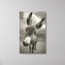 Recherche de âne impressions sur toile Animal