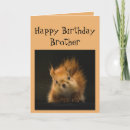 Recherche de idiot anniversaire cartes Animal