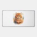 Recherche de chaton gris tapis souris Dame de chat fou