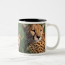 Recherche de masai mara tasses Kenya