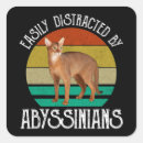 Recherche de abyssinien Amoureux des chats