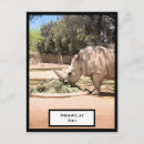Recherche de animal africain cartes postales Rhinocéros