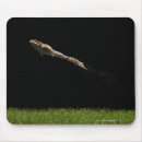 Recherche de grenouille verte tapis souris Longueur totale