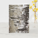 Recherche de forêt de bouleau vœux cartes Nature