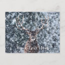 Recherche de chasse neige cartes postales Cerf