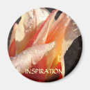 Recherche de goutte de pluie magnets Pour tous