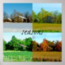 Recherche de quatre arbres posters Hiver