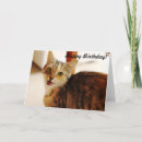 Recherche de birmanie vœux cartes Chat