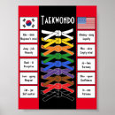 Recherche de taekwondo posters Karaté