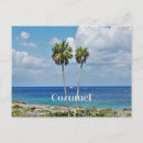 Recherche de mexicain cartes postales Tropical