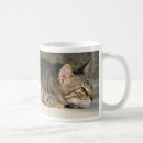 Recherche de chat tigré tasses Mignon