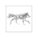 Recherche de loup Animal