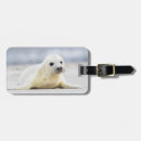 Recherche de phoque bébé accessoires Neige