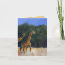 Recherche de amour girafe vœux cartes Zoo