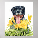 Recherche de fleurs de chien posters Chiens