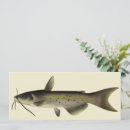 Recherche de chat 10x23 invitations Vintage