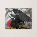 Recherche de magnifique puzzles Oiseau