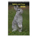 Recherche de lapin calendriers Lièvre