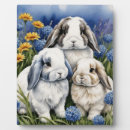 Recherche de lapins plaques Pour tous