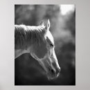 Recherche de horse art Animal