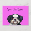 Recherche de design your own cartes postales Animal