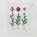 Recherche de italian cartes postales Antique