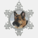 Recherche de berger allemand ornements Chien
