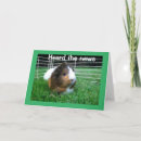 Recherche de gerbilles vœux cartes Photographie