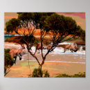 Recherche de kangourou posters Australien