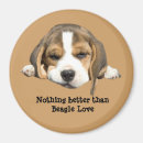 Recherche de de chiot de beagle magnets Chiots